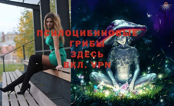 винт Алексин