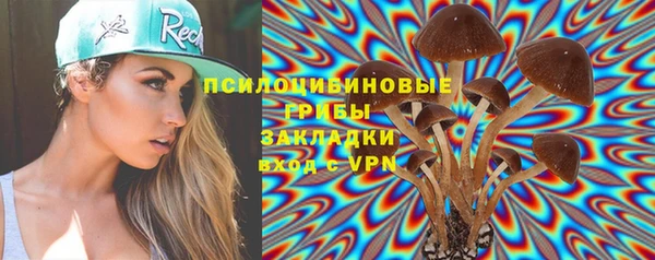 гидропоника Алзамай