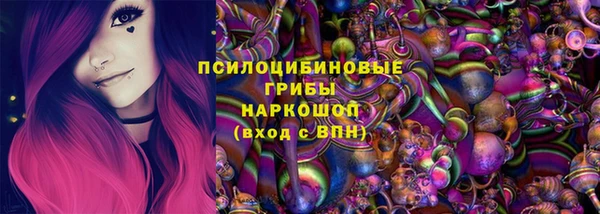 гидропоника Алзамай