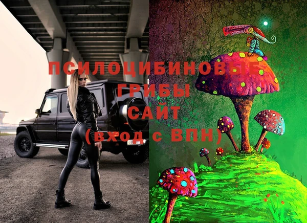 гидропоника Алзамай