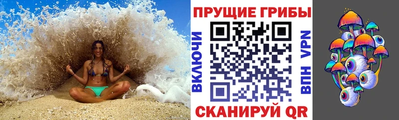Псилоцибиновые грибы ЛСД  где продают наркотики  Ижевск 
