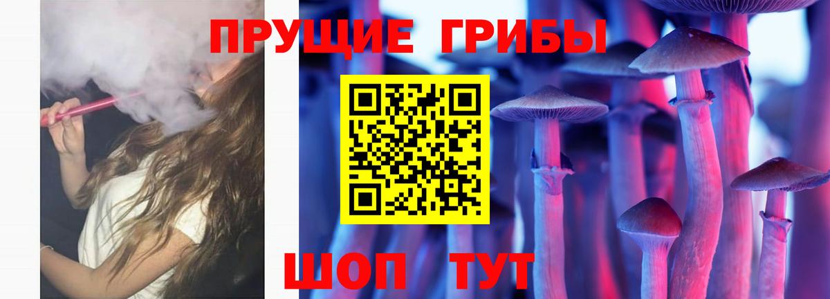 Ижевск  Псилоцибиновые грибы Cubensis  Вход с VPN  Галлюциногенные грибы GOLDEN TEACHER 